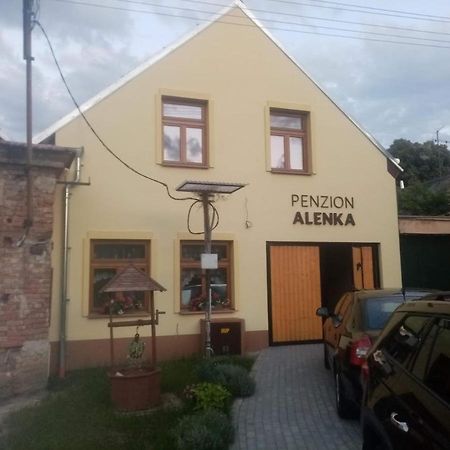 Penzion Alenka 瓦尔季采 外观 照片